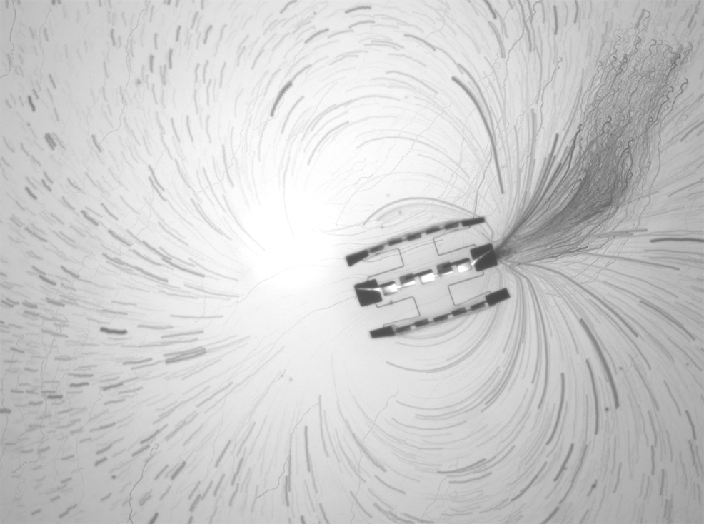 worlds smallest fully autonomous robot