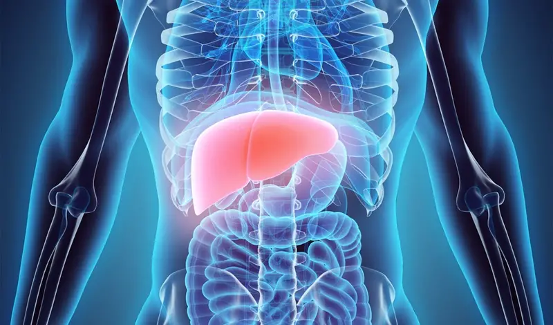 Liver storage time increased from 12 hours to a week